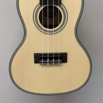 Kala KA-SSEM-C Solid Spruce Top Exotic Mahogany Concert Ukulele image 1