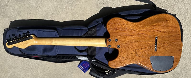 Westville Westel Crest Semi-Hollow Jazz Telecaster - Charlie