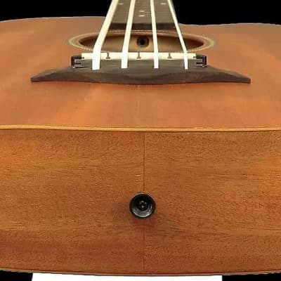 Gold Tone M-Bass25FL 25-Inch Scale Fretless 4-String Acoustic-Electric MicroBass w/Hard Case image 2