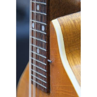 1950s Gibson A-40 natural image 13