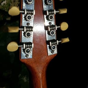 Gibson Style A snakehead Mandolin 1928, Black image 4