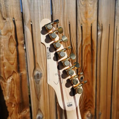 ESP LTD SIGNATURE SERIES JRV-8 - Metallic Gold Javier Reyes 8-String Electric Guitar w/ Case (2023) image 7