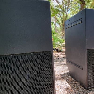 Pair, Danley Sound Labs TH118 Passive 4800W Subwoofer image 2