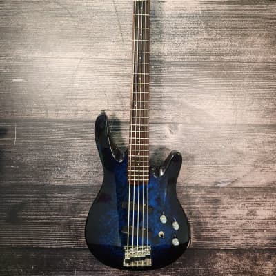 Washburn XS-5 5 String Bass Guitar (Raleigh, NC) | Reverb