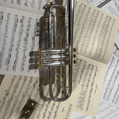 Bach 37 Stradivarius Bb Trumpet Silver with Onyx and Gold Trim image 7