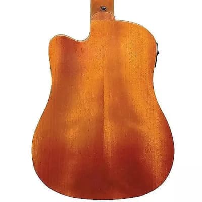 Gold Tone M-Bass 23-Inch Scale 4-String Acoustic-Electric MicroBass w/Hard Case image 2