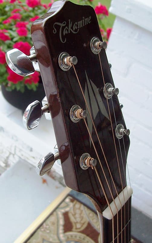 Takamine T-1BS