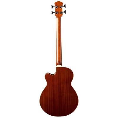 Washburn AB5K-A Acoustic-Electric Bass Guitar image 4