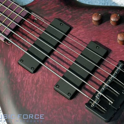 MTD US Custom Bass Andrew Gouche Signature 5 String-Hand Rubbed Plum Sunburst image 3