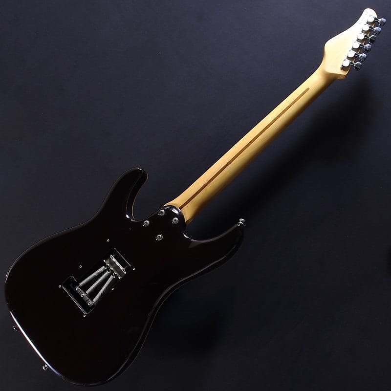 SCHECTER SD-2-24-AL (See-Thru Red/Rosewood) ｜イケベ楽器店