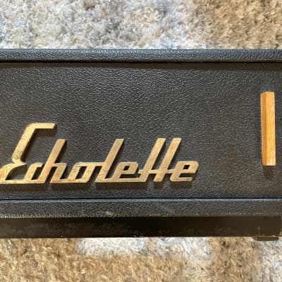 Klemt Echolette M100 rare 60s German vintage tube guitar amplifier w/ rare case/stand. See video! image 13