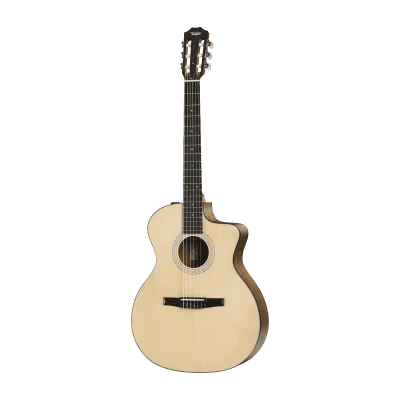 Taylor 114ce-N with Mahogany Neck (2017 - 2018)