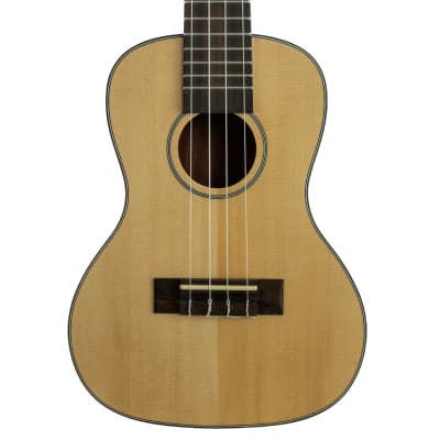 Kala KA-SCG Solid Spruce Top Concert Ukulele | Reverb