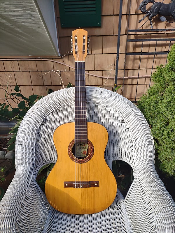 Egmond Classical Classical 1960's Reverb