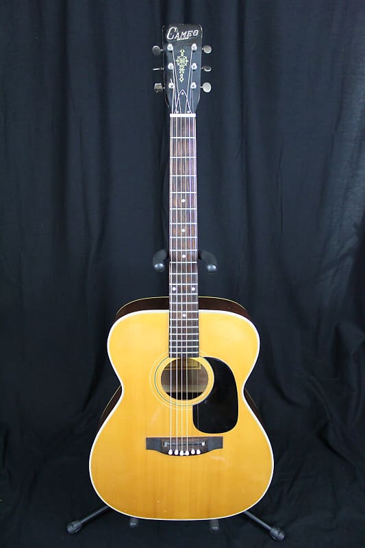 Cameo FS-5 Acoustic Guitar MIJ with Case image 1