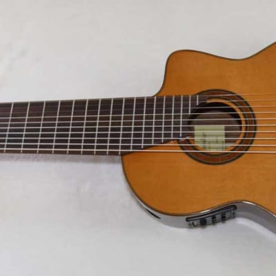 Bartolex SLC10CEL Classical 10-String Harp Guitar, w/Pickup, Cutaway, Sound Port, w/Softshell Case image 3