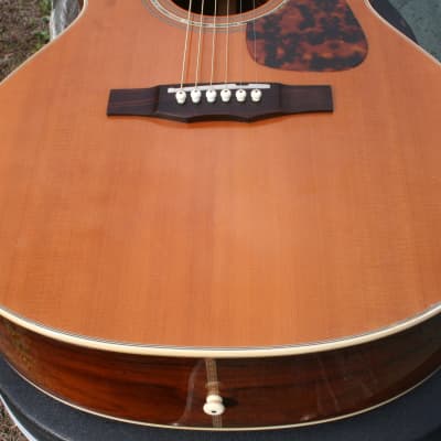 Morris Rumbler WA-808 Brazilian Rosewood Guitar with Cutaway | Reverb