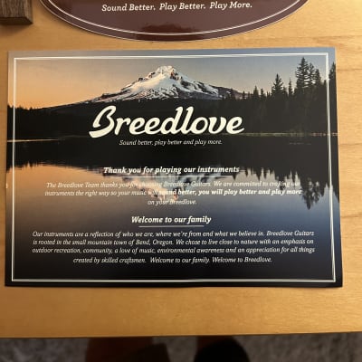 Breedlove Limited Edition Oregon Concert CE Acoustic-electric Guitar - White Sand Myrtlewood (2021) image 13
