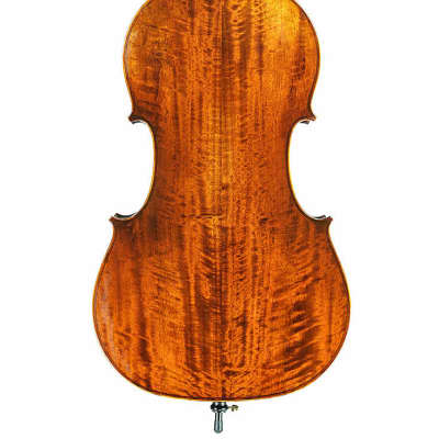 Eastman VC305 Intermediate Cello image 2