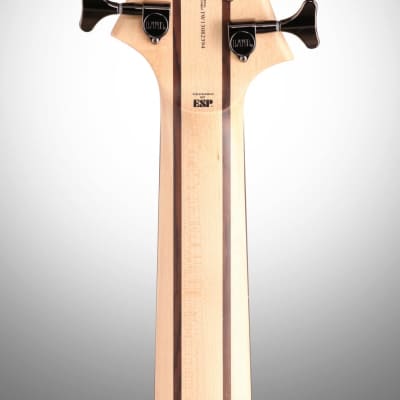 ESP LTD B206SM Electric Bass, 6-String, Natural Satin image 9