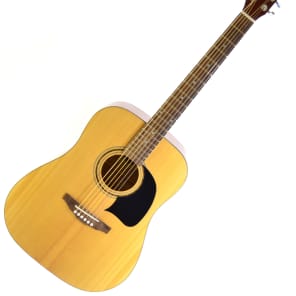 Washburn HOBA House of Blues Acoustic Guitar with Gig Bag Reverb