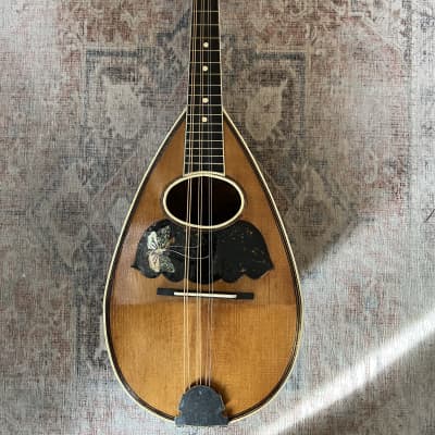 Antonio Grauso bowlback mandolin 1900's image 3
