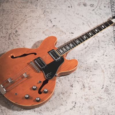 Epiphone nick deals valensi riviera p94