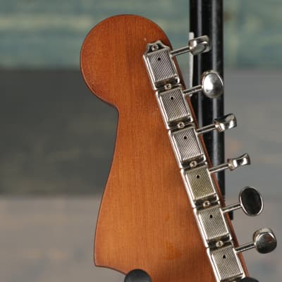 Fender Newporter Player, Walnut Fingerboard, Sunburst image 8