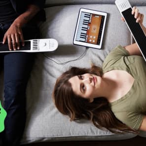 Artiphon Instrument 1 MIDI Controller | zZounds