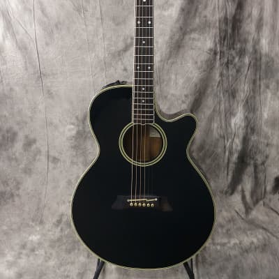2024新商品 TAKAMINE NPT-108 アコースティックギター ギター ...