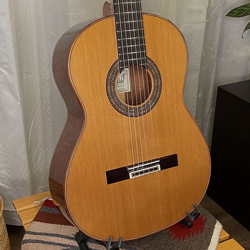 Manuel Adalid Model 12 Classical Guitar Cedar & Granadillo w/case *made in Spain image 1