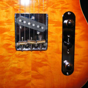 Austin AU962 2004 '62 Era Professional Deluxe Tele Electric Guitar image 9