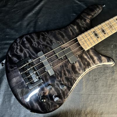 Spector USA NS-2 - Black Stain Gloss - Authorized Dealer for sale