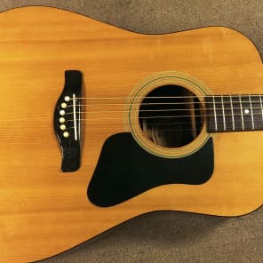 Vintage Madeira A9 Dreadnought Acoustic Guitar, 70's Guild Import 