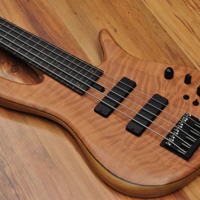 Fodera Monarch Doctorbass Edition 2023 Fretless 5 string (lined) image 5