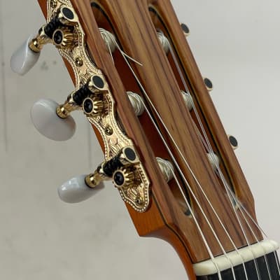 Superior Mariachi Guitar 2023 - Nitro Matte image 5