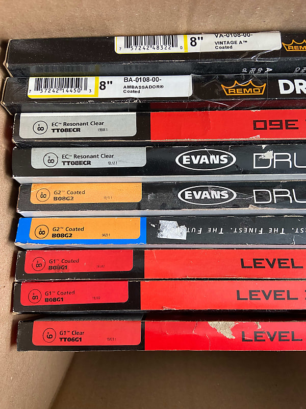 Evans/Remo 8" drum heads (8 Heads) Reverb