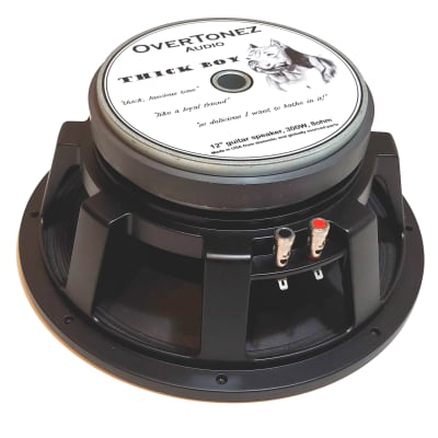 Goodmans Audiom 91 18