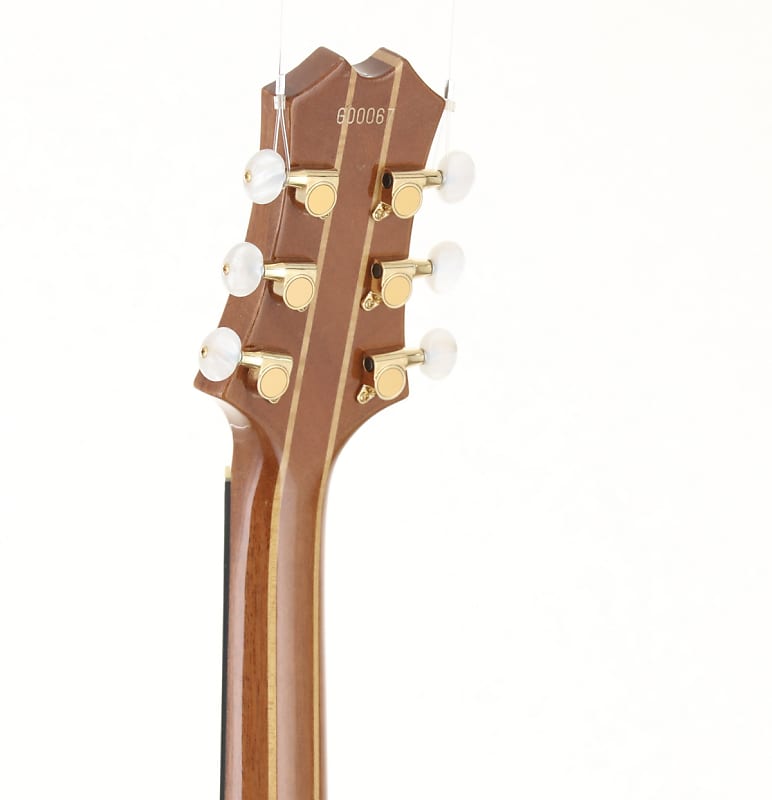 Guyatone EG-2100M Nobuhiro Mine Singnature [04/15] | Reverb