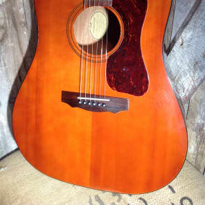 Vintage Guild D25M Acoustic Guitar 1974 image 1