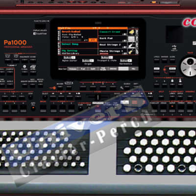 Korg PA1000 - clavier bouton accordéon(Nouveau prix EN BAISSE)