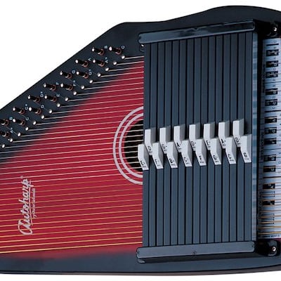 Autoharp gig online bag