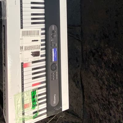 Casio LK S450 Keyboard (Nashville, Tennessee)