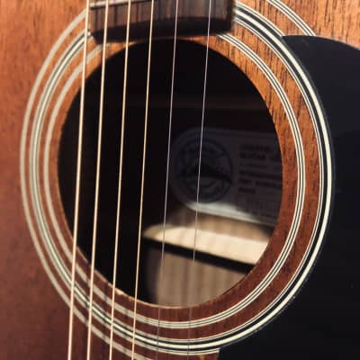 Charvel 550M Mahogany Acoustic Guitar with Gigbag image 9