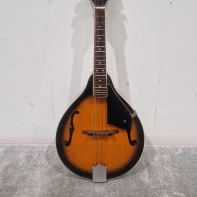 Aria AM200E Electro Mandolin in Brown Sunburst w/Case