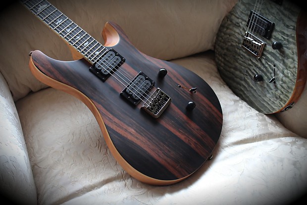 Paul Reed Smith PRS SE Mark Holcomb Signature Limited