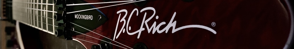 Hunter's Guitar Shop