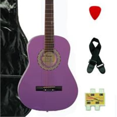 De Rosa Acoustic Guitar Outfit Bag, Strap, Pick, Extra Strings, Tuner DK3810R-PL Light Purple for sale