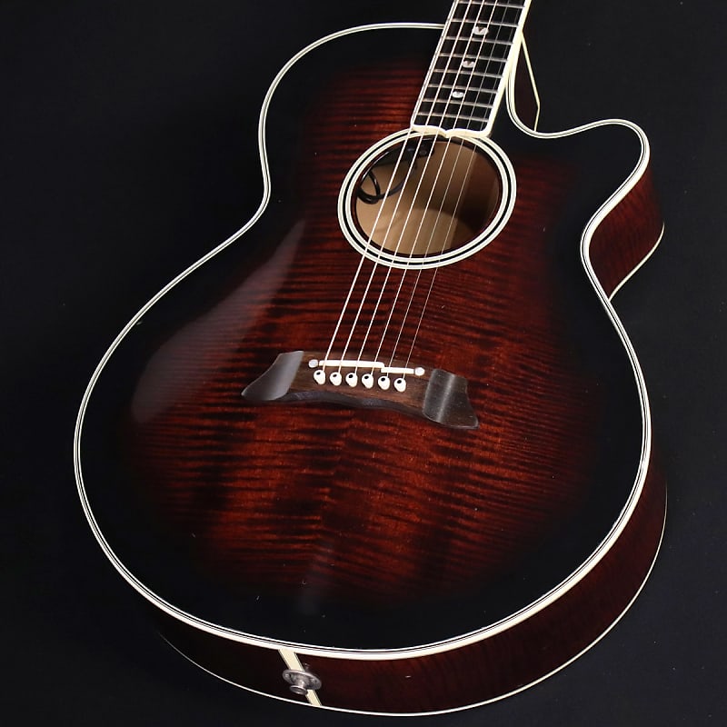 Takamine NPT-115 アコースティックギター ブラック Takamine NPT-115 アコースティックギター ブラック Takamine