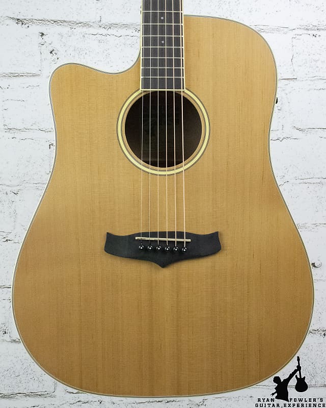 Tanglewood TW10LH Winterleaf Dreadnought Lefty Acoustic-Electric image 1